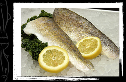 Walleye Fillets - 4 LB Skin On