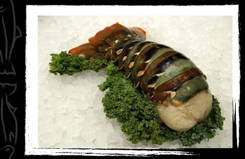 Lobster -Northern Australian Tails